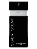 عطر گرمی بوگارت سیلور سنت | اقساط
