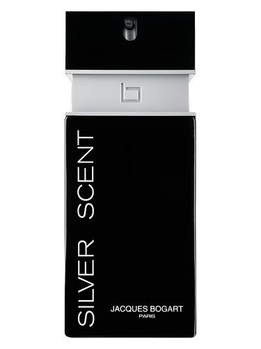 عطر گرمی بوگارت سیلور سنت | اقساط
