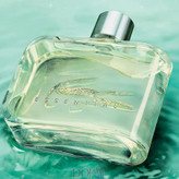 عطر گرمی لاگوست سبز- تضمین پخش بو و ماندگاریی بالا | اقساط