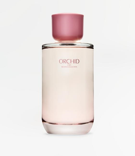 اسانس عطر زارا ارکید- تضمین بازگشت وجه اقساط