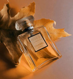 عطر گرمی کوکو مادمازل | اقساط